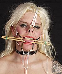 Face Tortured Blonde